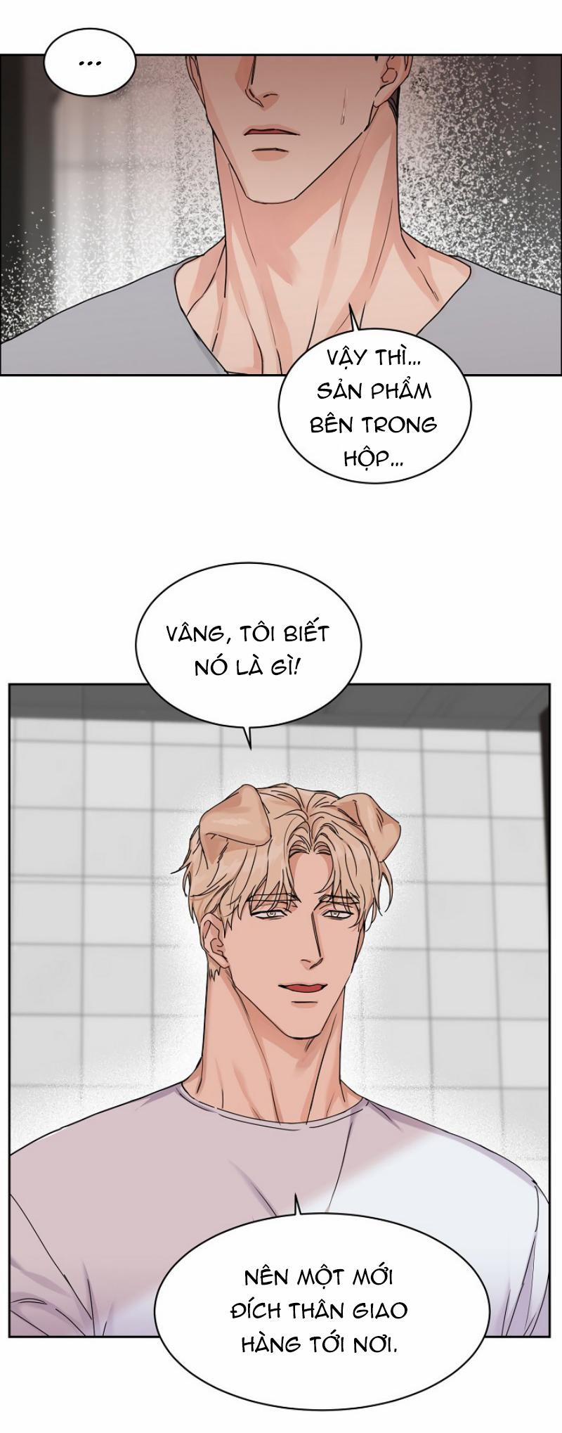 Ở ĐÂY TÔI CÓ NHÂN THÚ HỎN LỌN 6 trang 12