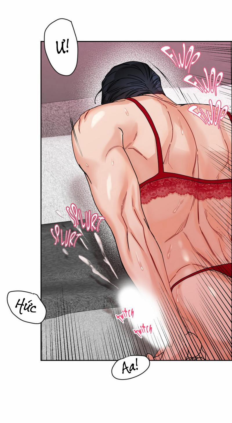 Ở ĐÂY TÔI CÓ NHÂN THÚ HỎN LỌN 6 trang 43