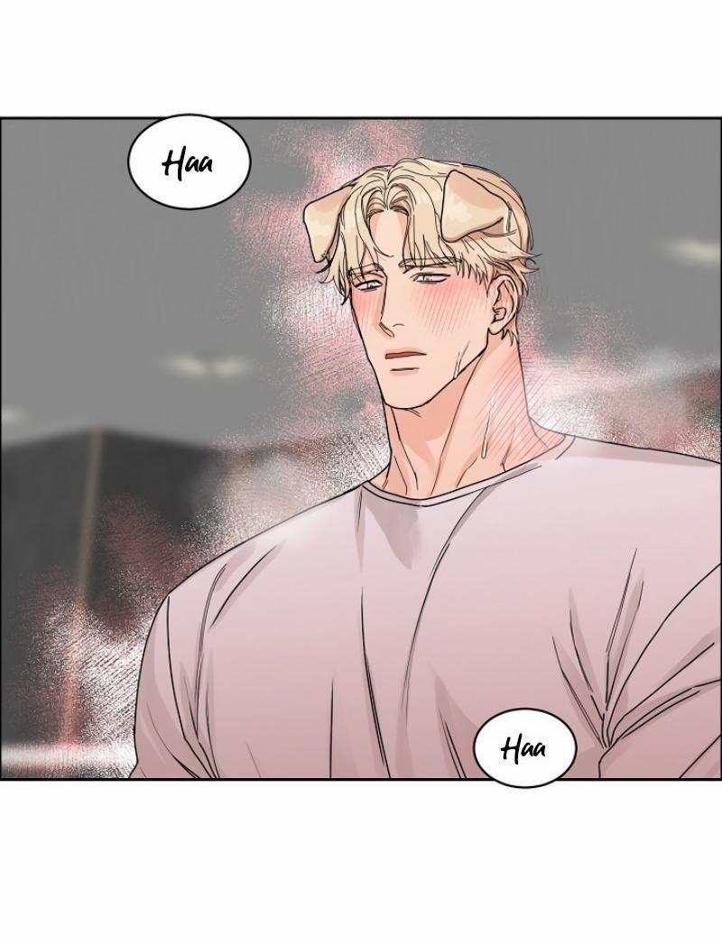 Ở ĐÂY TÔI CÓ NHÂN THÚ HỎN LỌN 6 trang 46