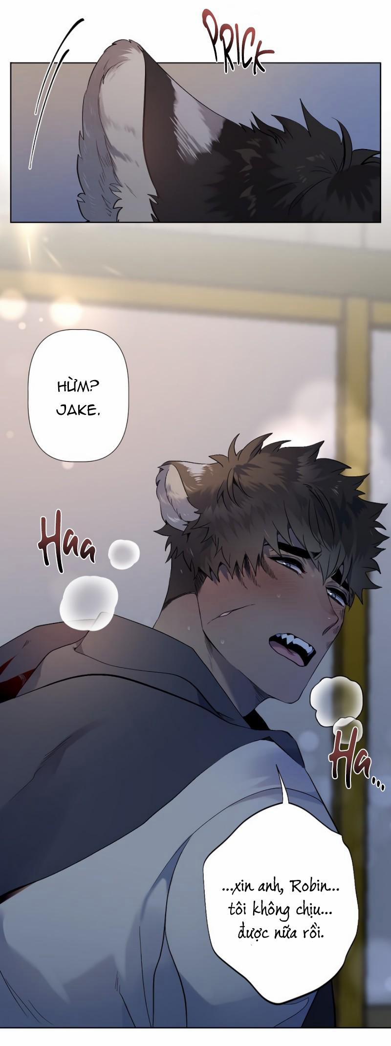 Ở ĐÂY TÔI CÓ NHÂN THÚ HỎN LỌN 7 trang 21