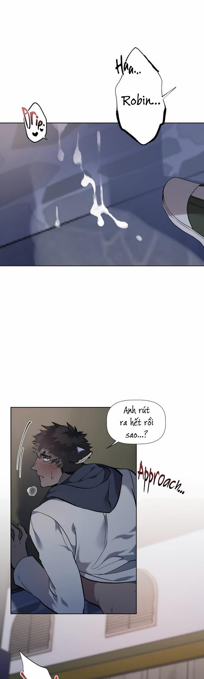 Ở ĐÂY TÔI CÓ NHÂN THÚ HỎN LỌN 7 trang 26