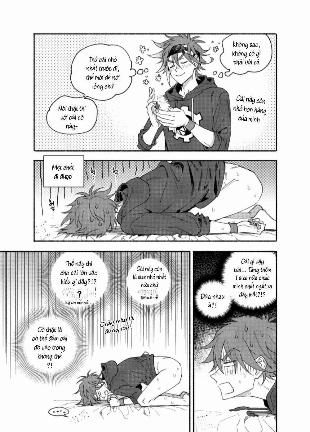 Ổ Sìn Otp 184.1 LanRe trang 17