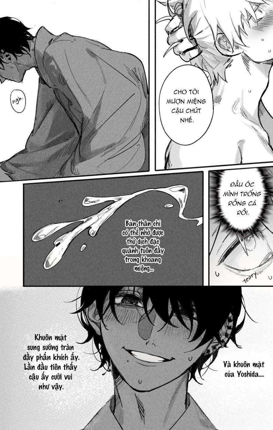 Ổ Sìn Otp 203.3 trang 1