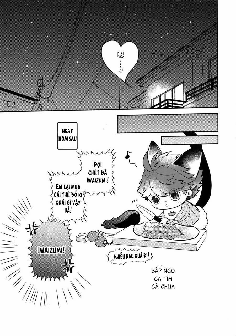 Ổ Sìn Otp 211 IwaOi trang 35