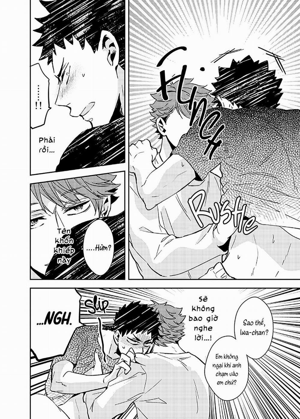 Ổ Sìn Otp 34 OiIwa trang 5