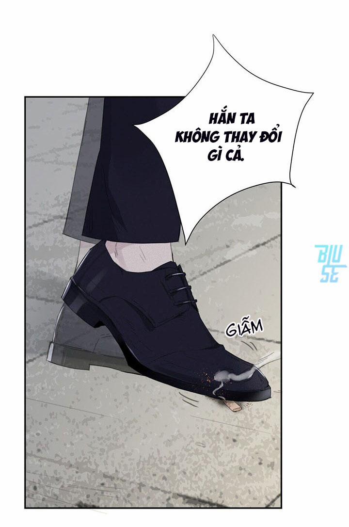 Ở Trong Bóng Tối 11 trang 28