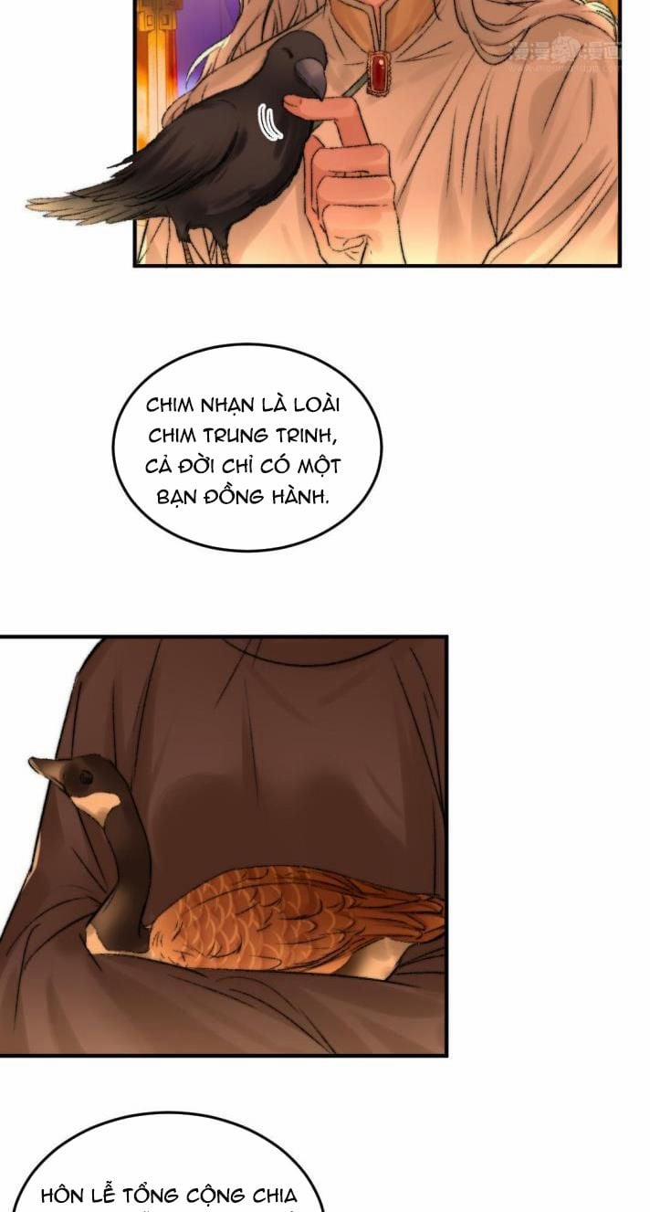 Ô Y Hạng Chi Tù Ái 23 trang 6