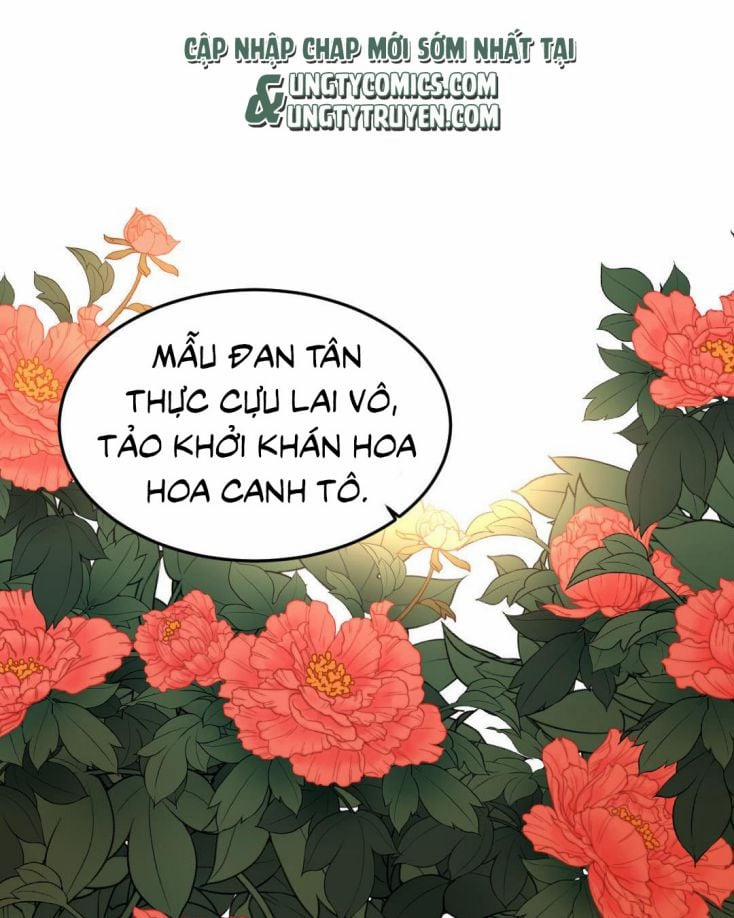 Ô Y Hạng Chi Tù Ái 7 trang 32