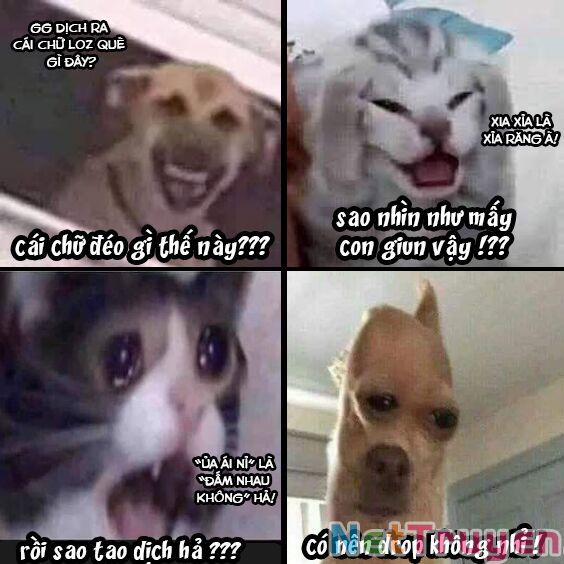 Oan Gia Chung Nhà ! 4 trang 38