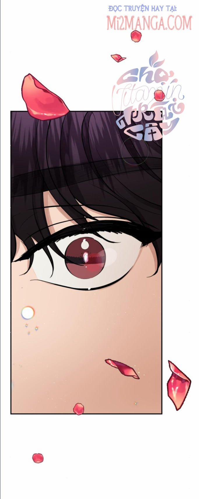 Oan Gia Ngõ Hẹp 58.5 trang 6