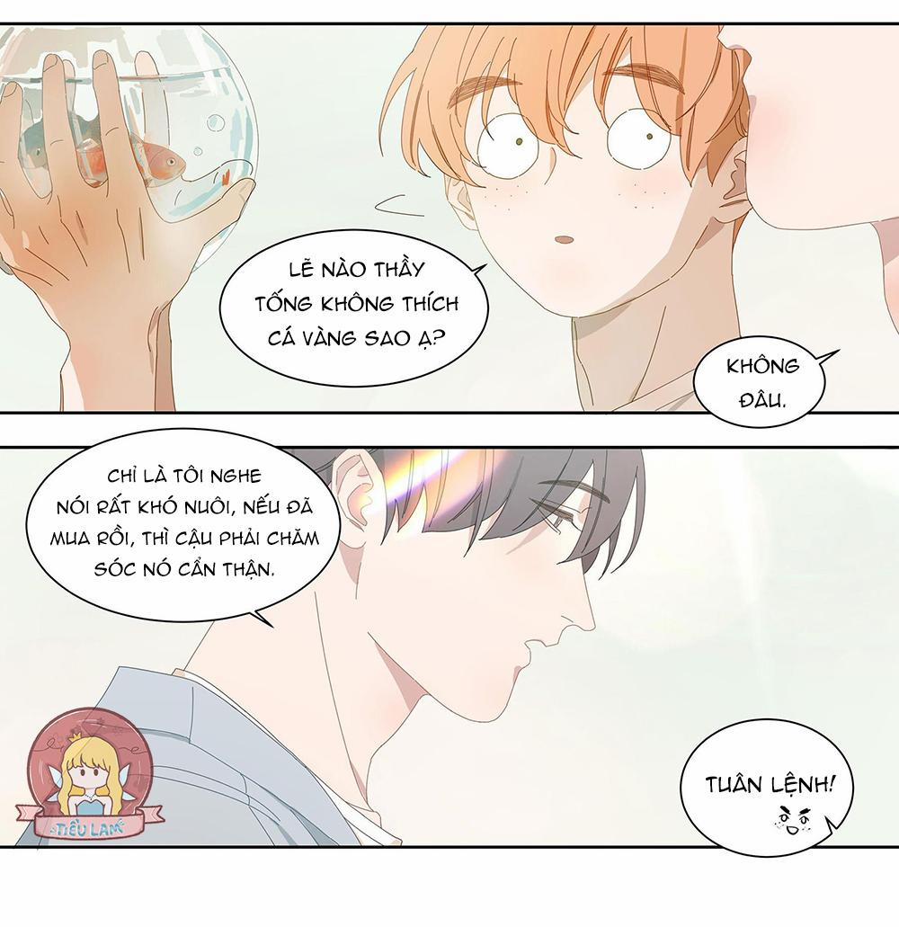 Ốc bươu tiên sinh 5 trang 11