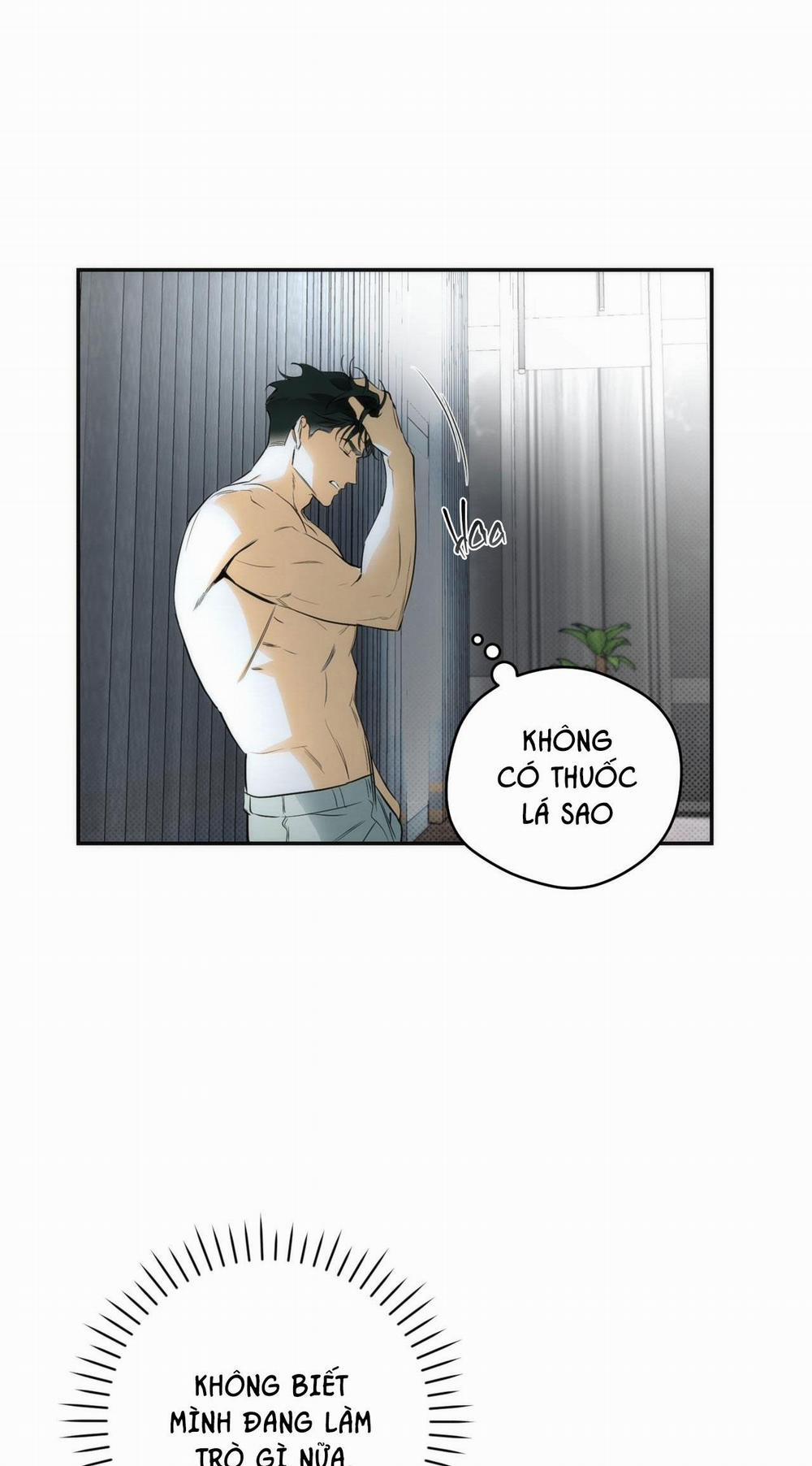 OFF TRACK 11 Ngang raw trang 8