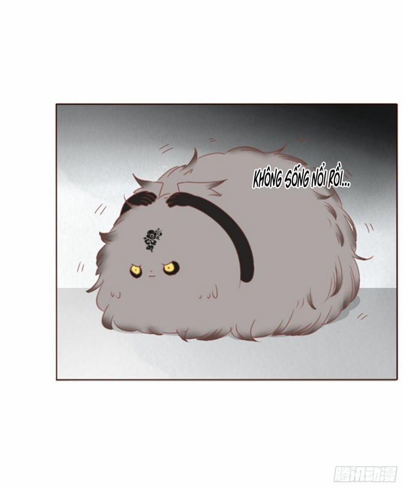 Ôm Chặt Vào Lòng 58 trang 15