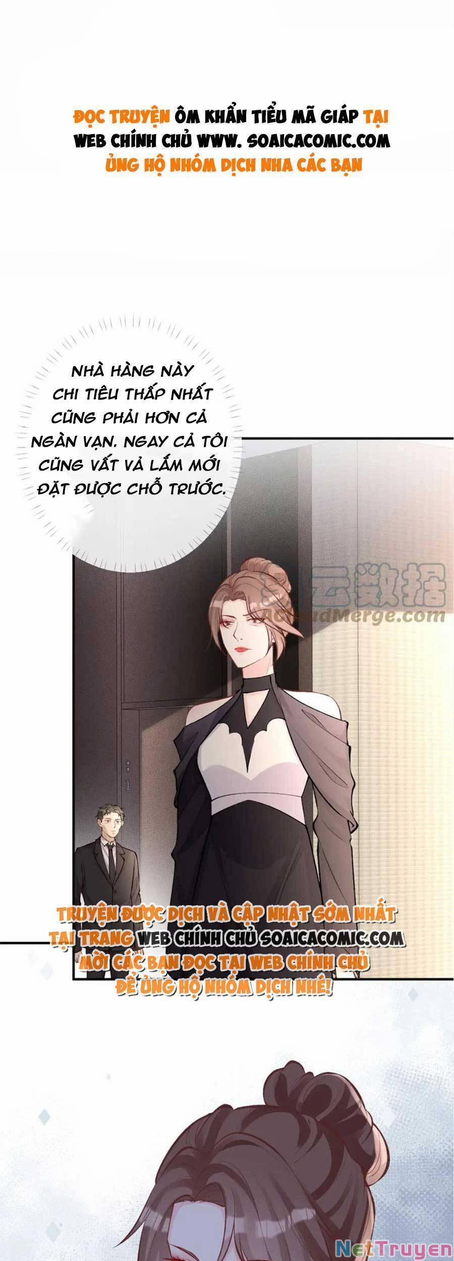 Ôm Khẩn Tiểu Mã Giáp Của Tôi 101 trang 0