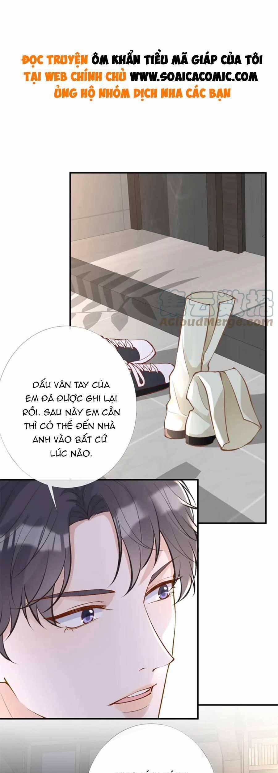 Ôm Khẩn Tiểu Mã Giáp Của Tôi 102 trang 0