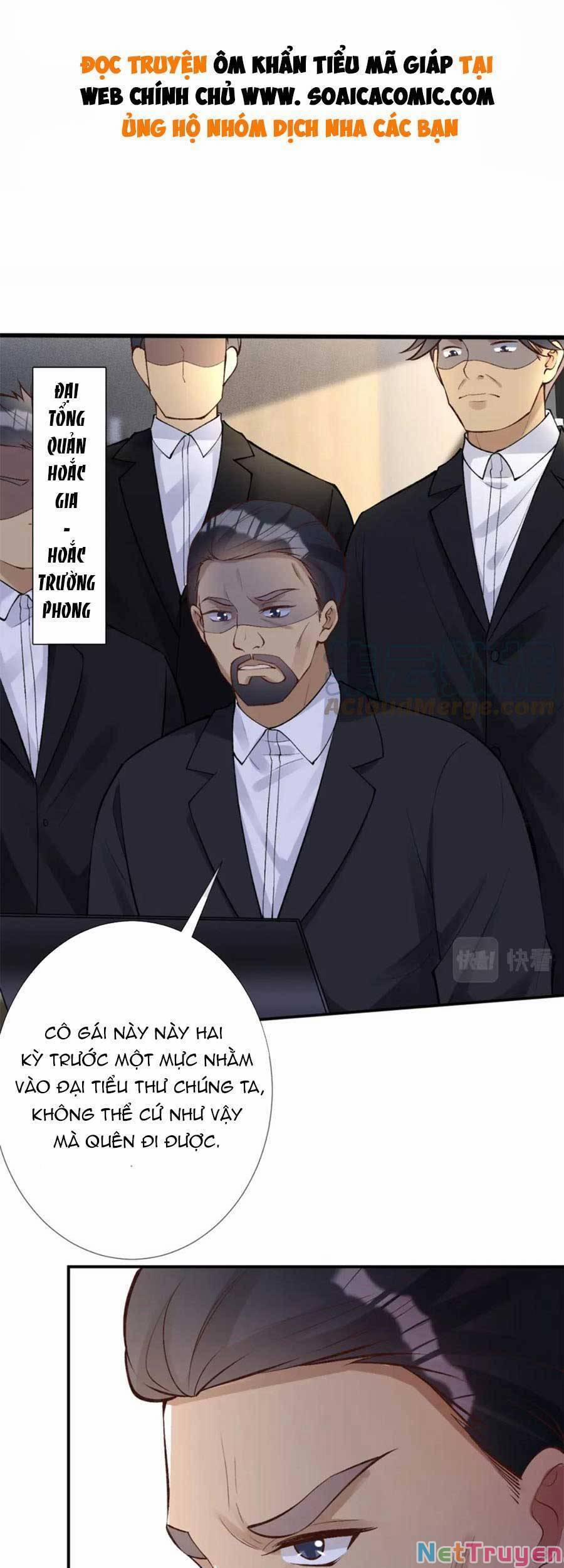 Ôm Khẩn Tiểu Mã Giáp Của Tôi 104 trang 1