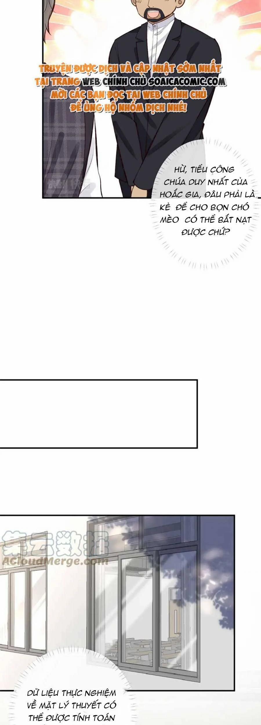 Ôm Khẩn Tiểu Mã Giáp Của Tôi 105 trang 8