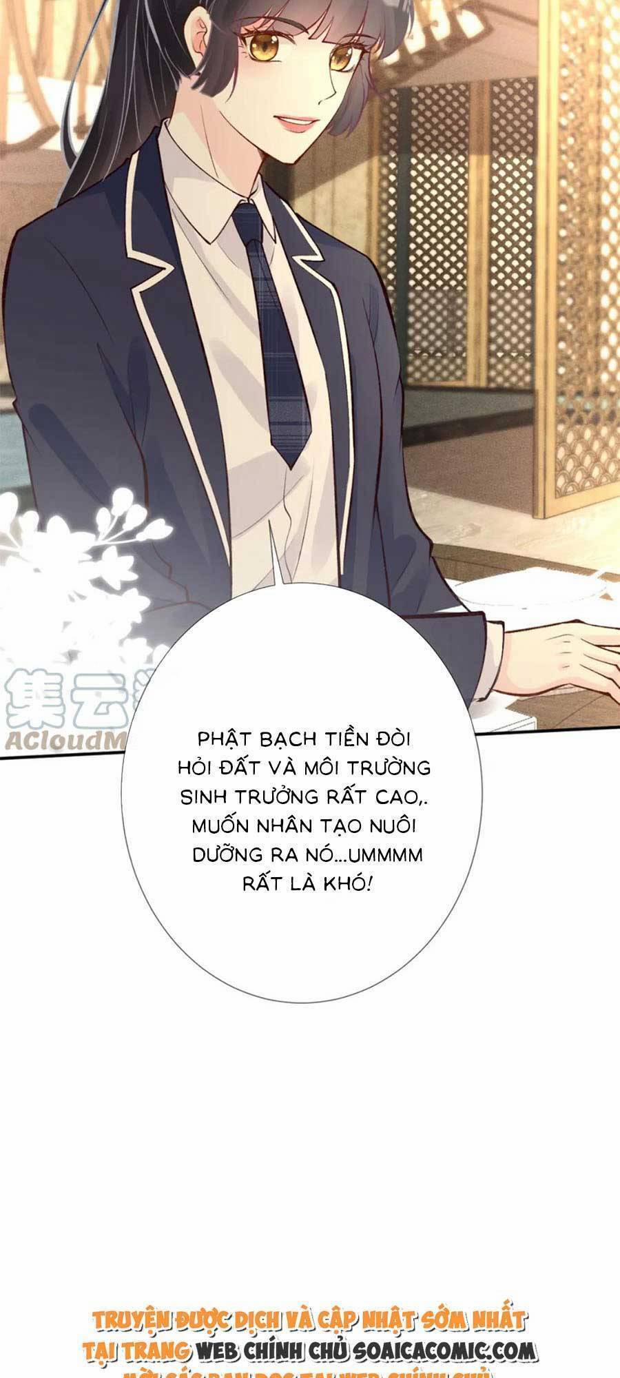 Ôm Khẩn Tiểu Mã Giáp Của Tôi 107 trang 15