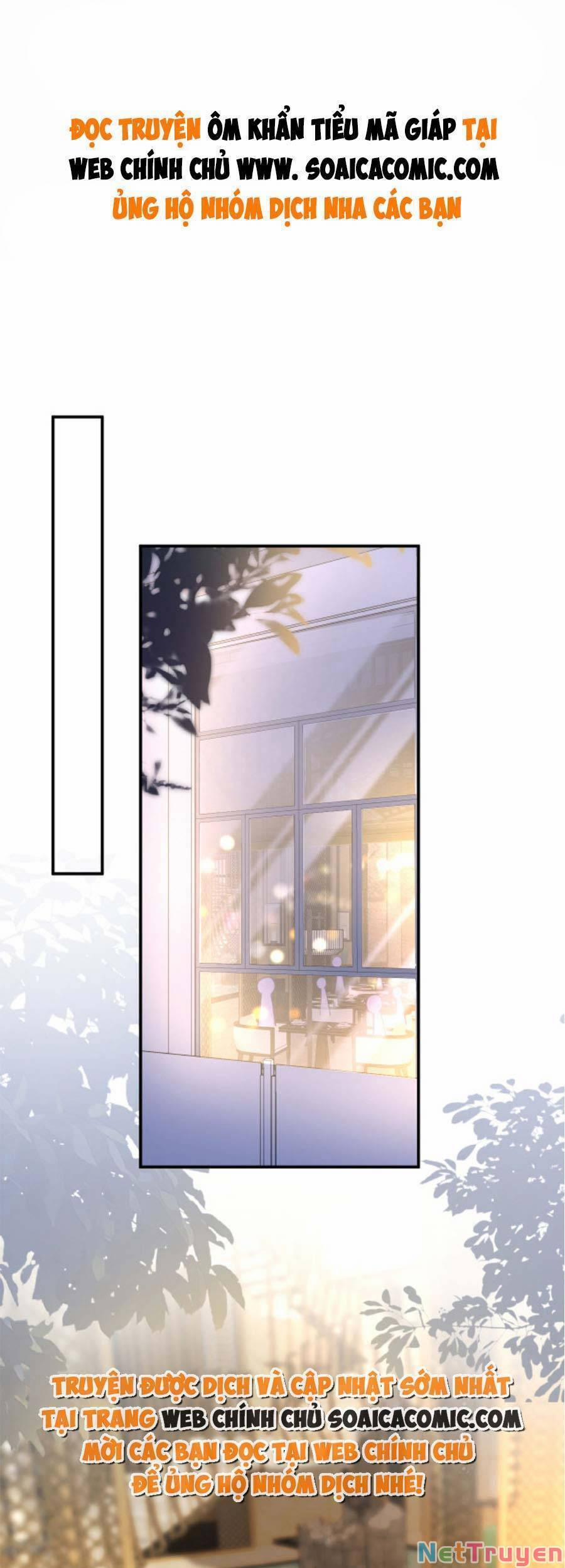 Ôm Khẩn Tiểu Mã Giáp Của Tôi 108 trang 0