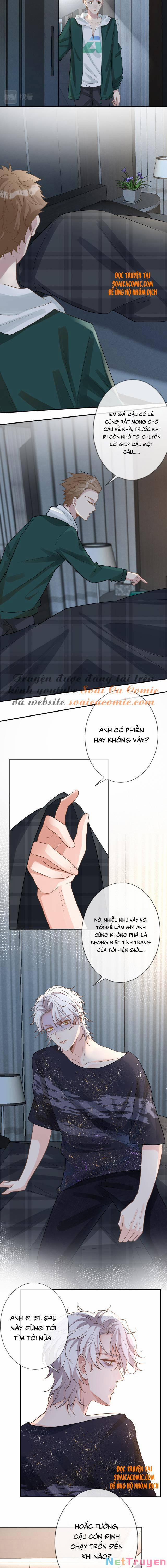 Ôm Khẩn Tiểu Mã Giáp Của Tôi 11 trang 6