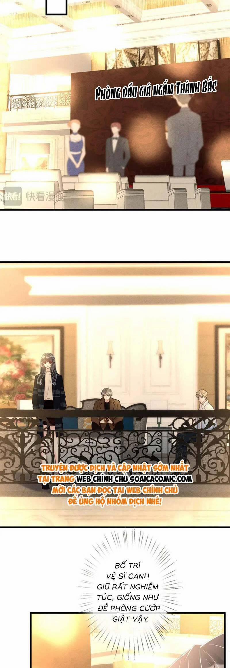 Ôm Khẩn Tiểu Mã Giáp Của Tôi 249 trang 12