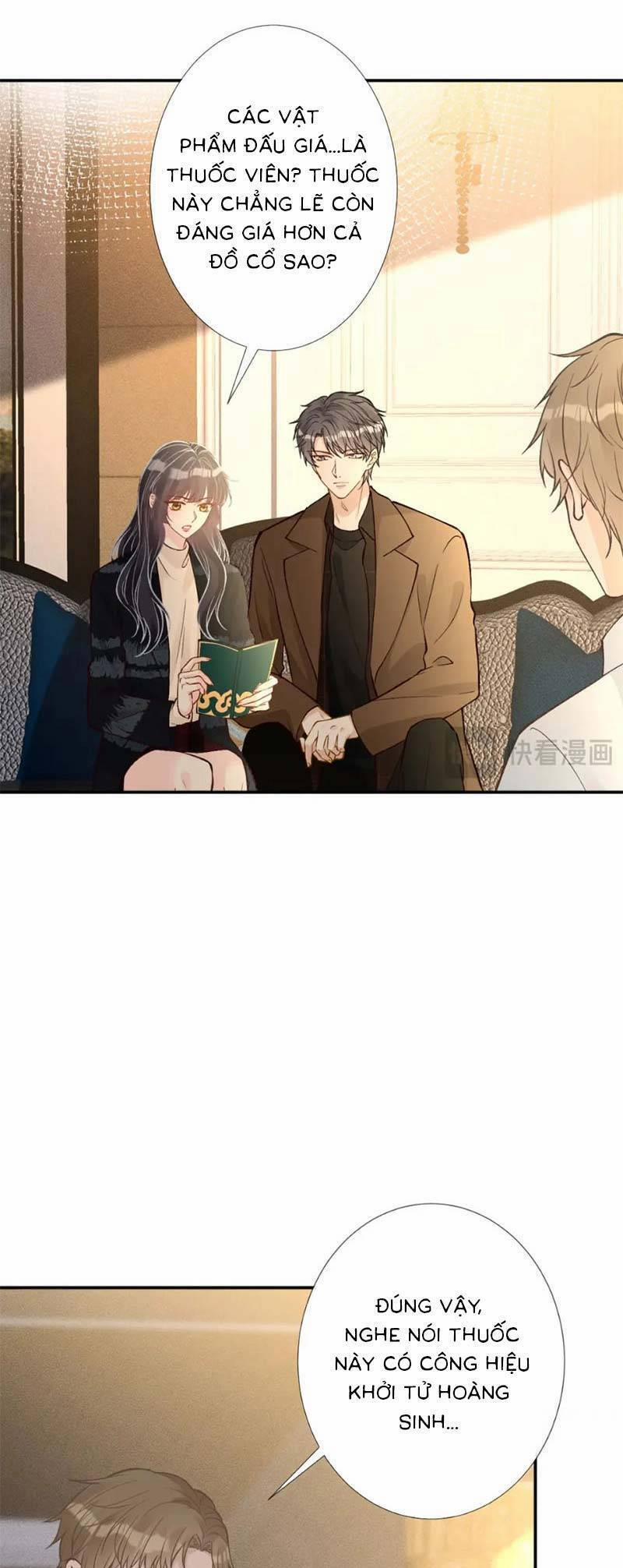 Ôm Khẩn Tiểu Mã Giáp Của Tôi 249 trang 16