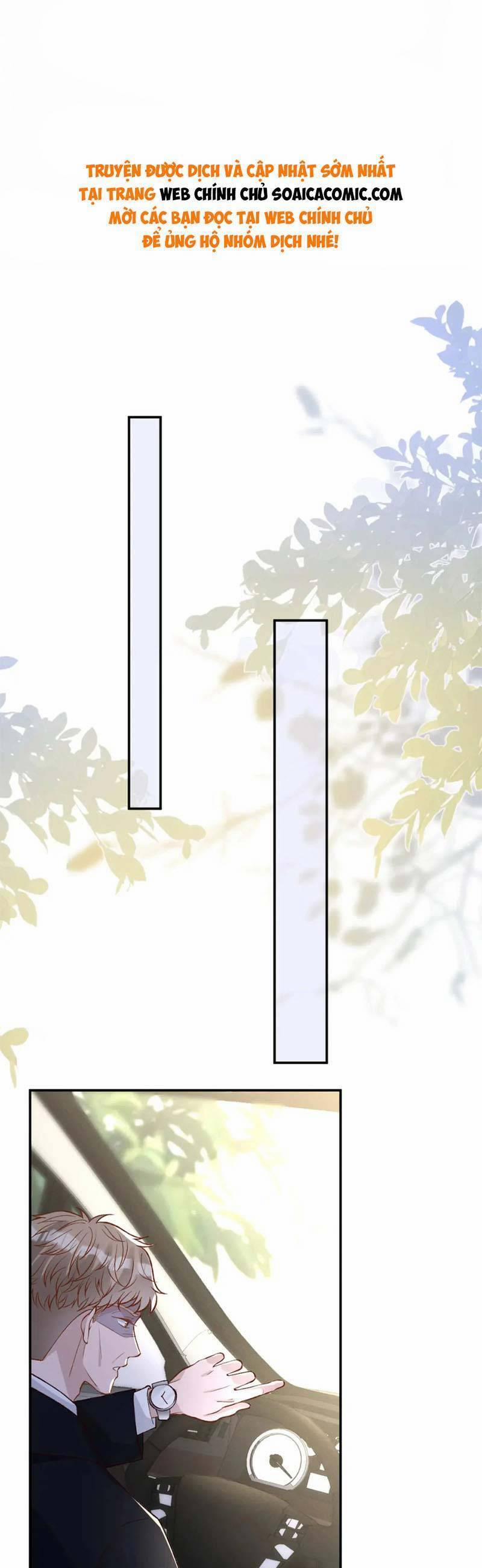 Ôm Khẩn Tiểu Mã Giáp Của Tôi 252 trang 0