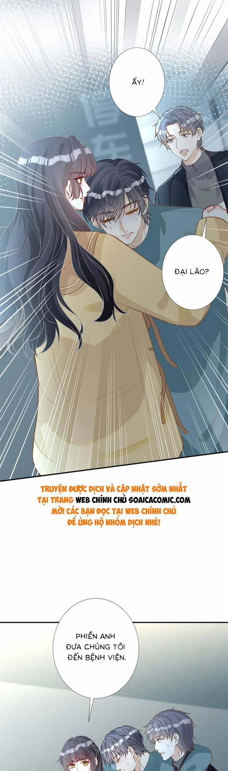 Ôm Khẩn Tiểu Mã Giáp Của Tôi 252 trang 12