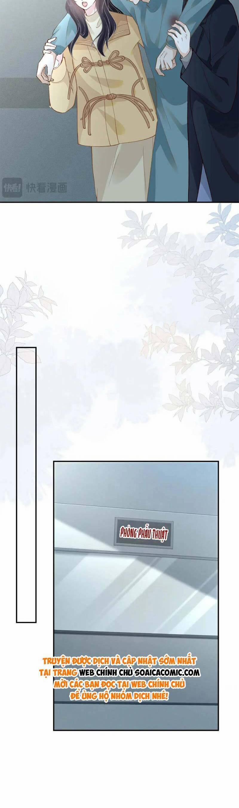 Ôm Khẩn Tiểu Mã Giáp Của Tôi 252 trang 13