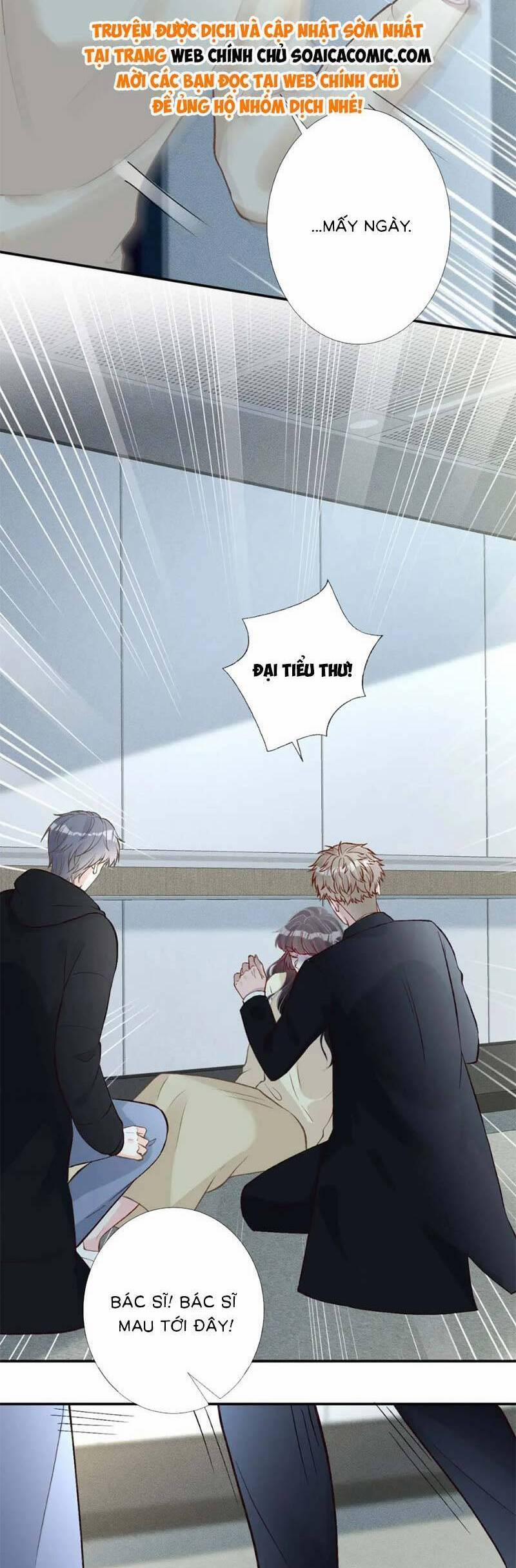 Ôm Khẩn Tiểu Mã Giáp Của Tôi 252 trang 18