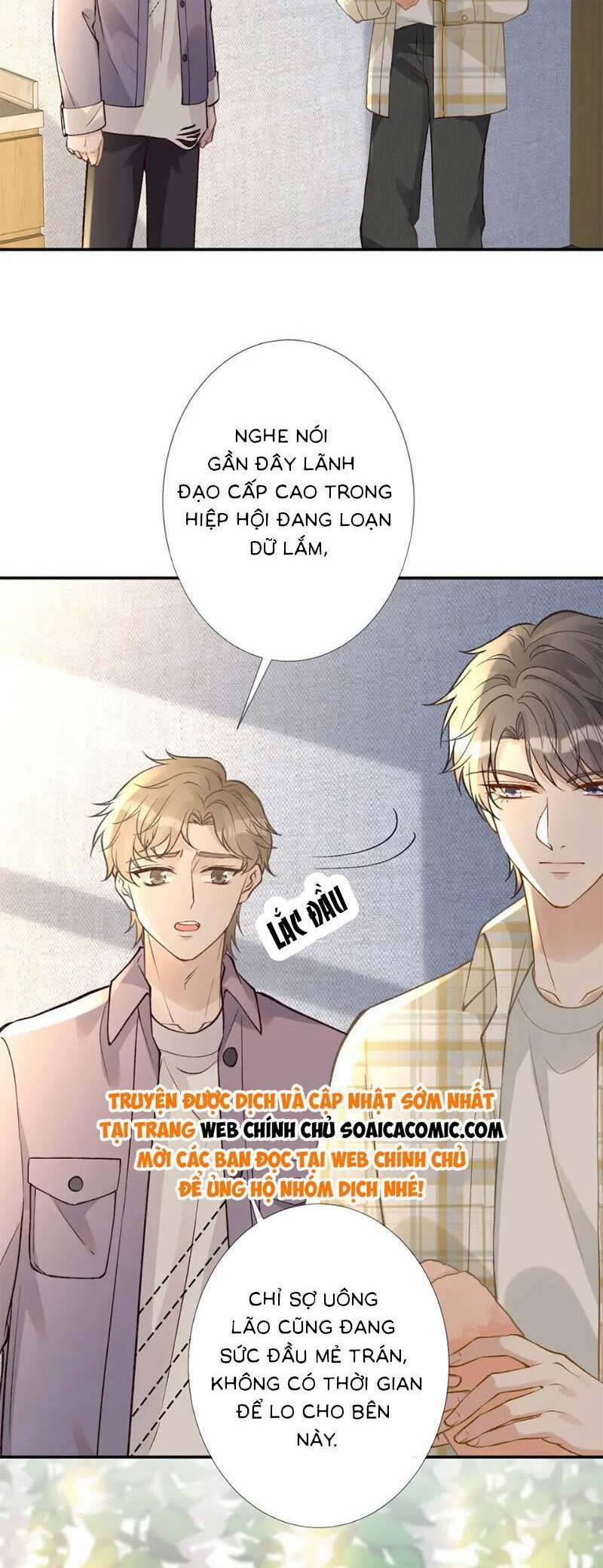 Ôm Khẩn Tiểu Mã Giáp Của Tôi 253 trang 8