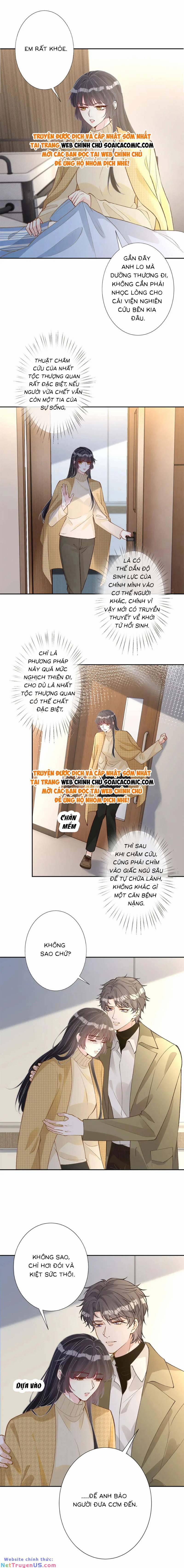 Ôm Khẩn Tiểu Mã Giáp Của Tôi 254 trang 3