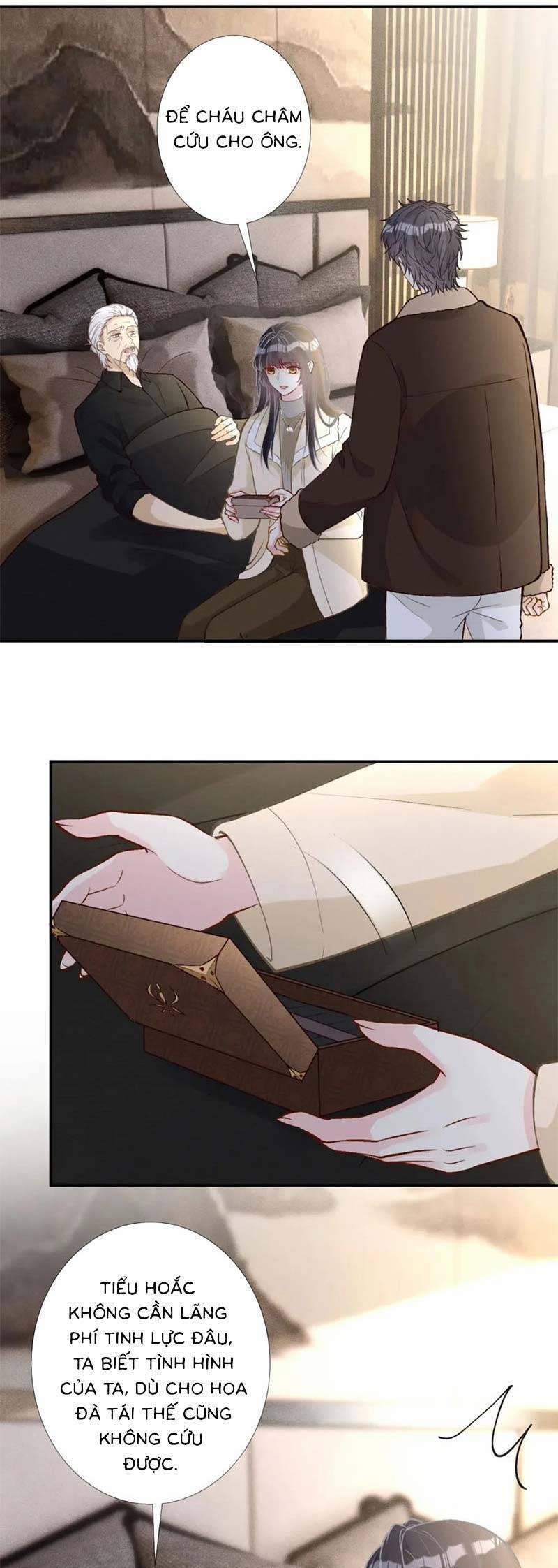 Ôm Khẩn Tiểu Mã Giáp Của Tôi 262 trang 14