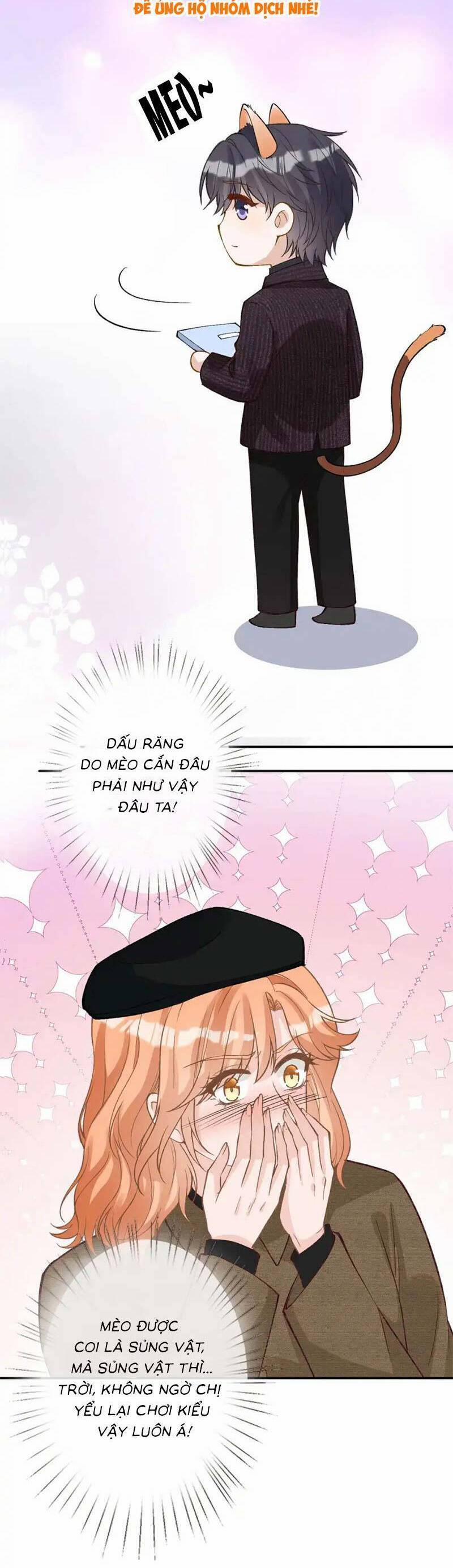 Ôm Khẩn Tiểu Mã Giáp Của Tôi 267 trang 12