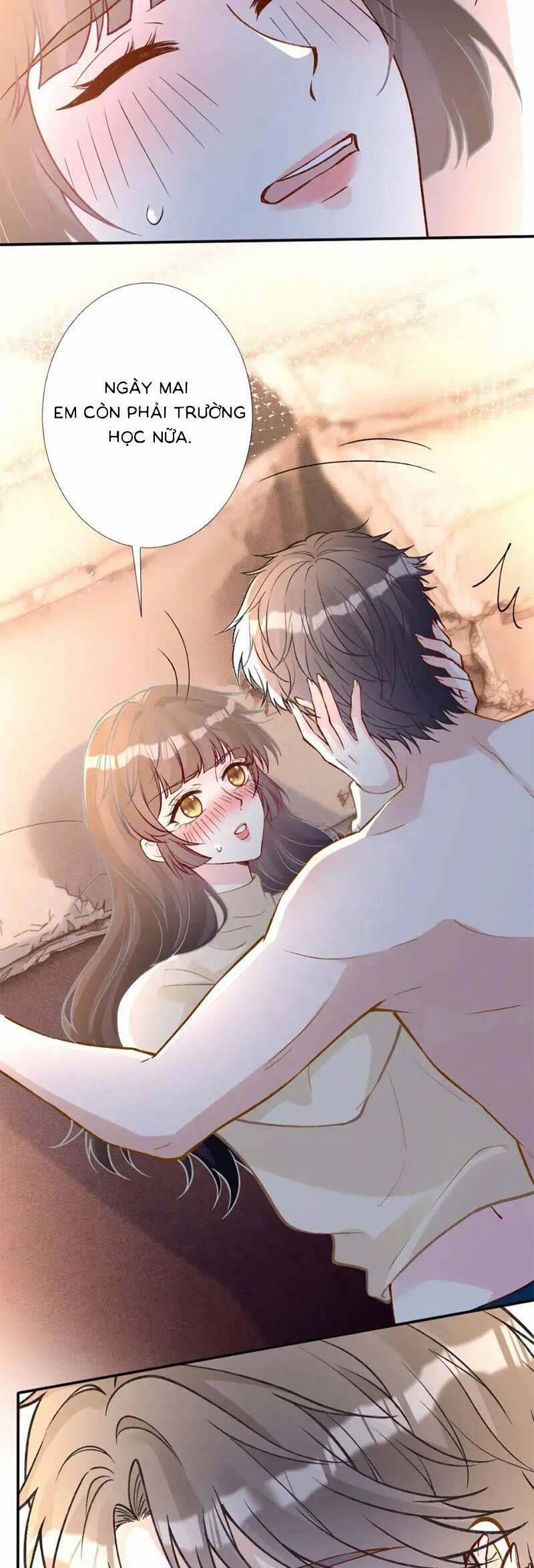 Ôm Khẩn Tiểu Mã Giáp Của Tôi 267 trang 2