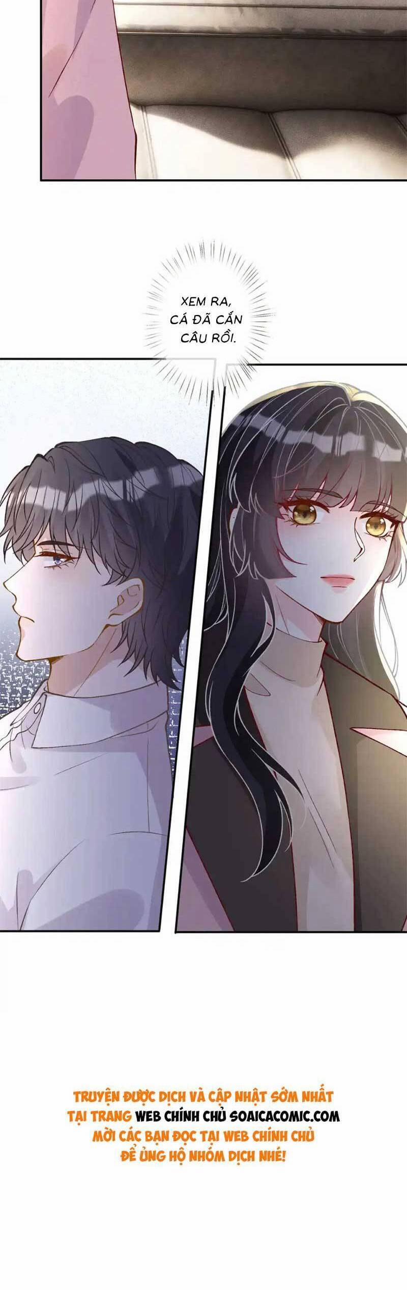 Ôm Khẩn Tiểu Mã Giáp Của Tôi 270 trang 19