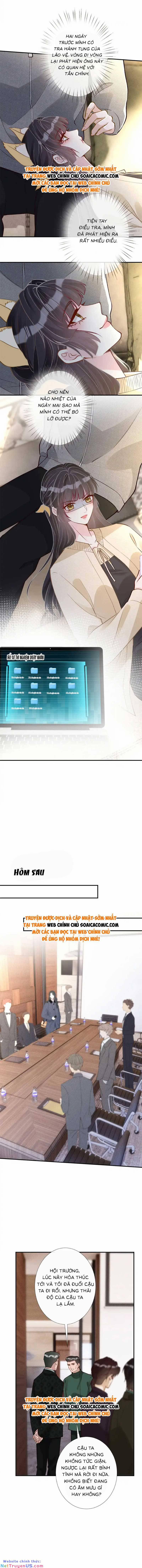 Ôm Khẩn Tiểu Mã Giáp Của Tôi 272 trang 3