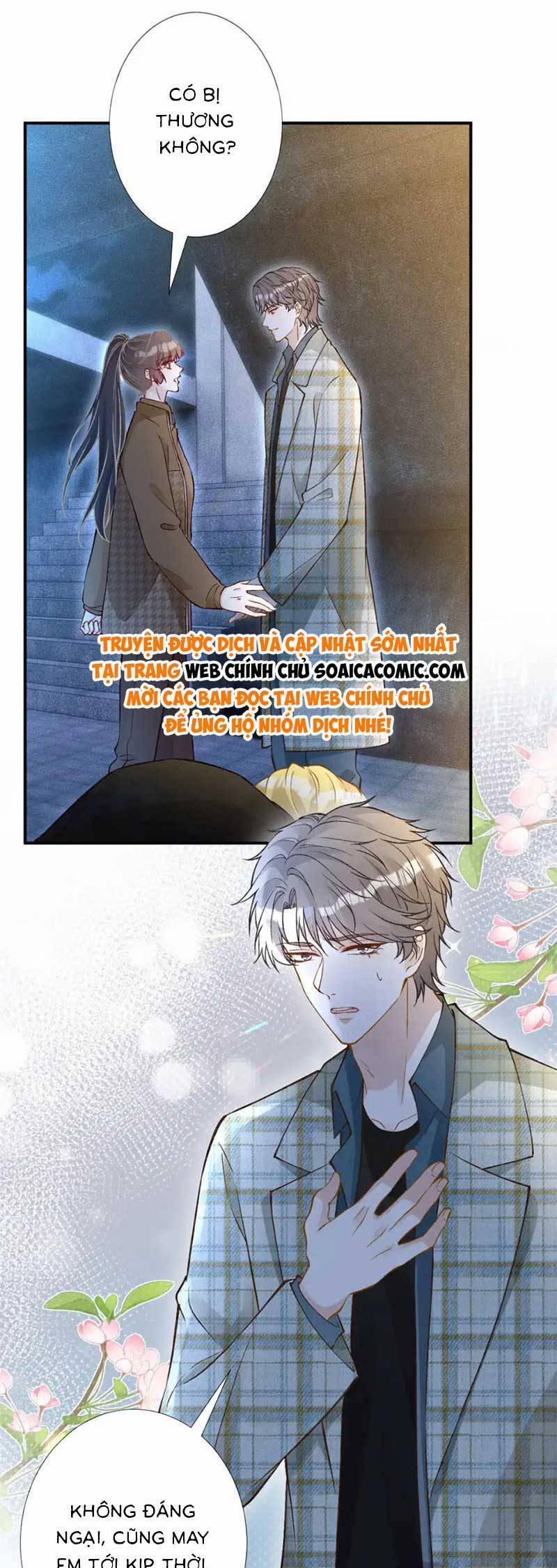 Ôm Khẩn Tiểu Mã Giáp Của Tôi 277 trang 17