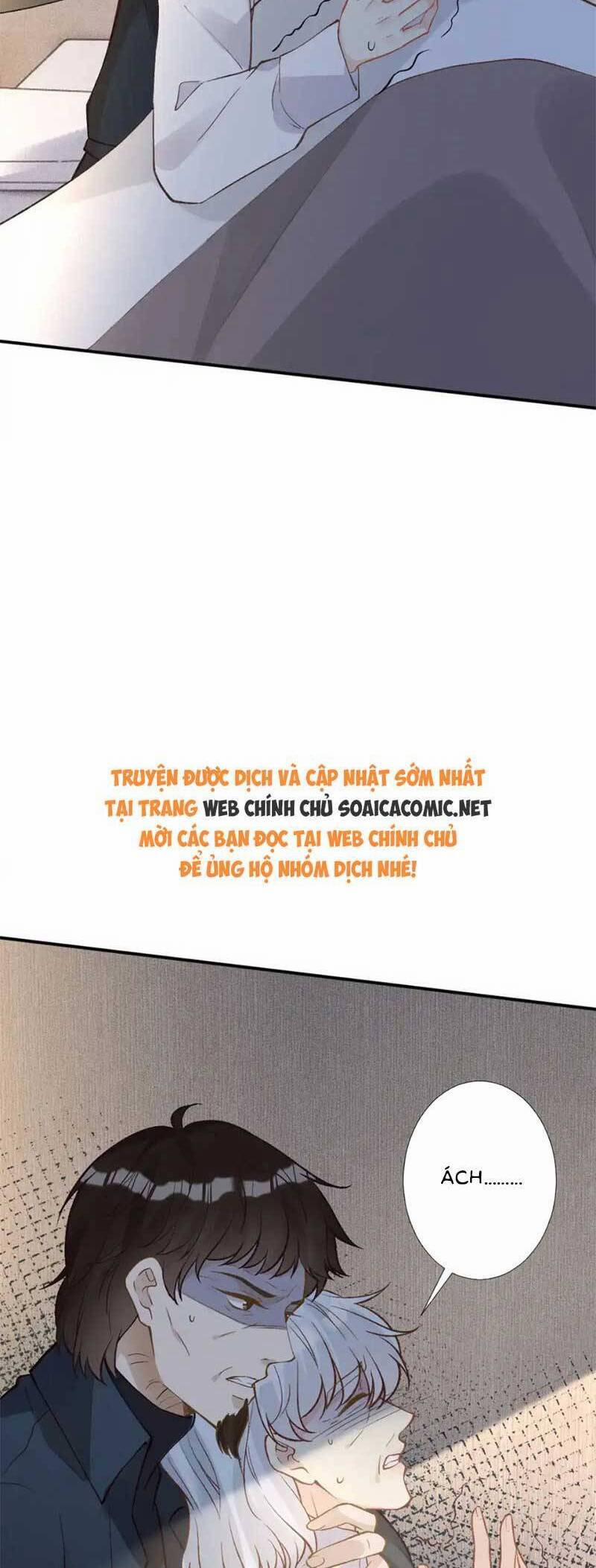 Ôm Khẩn Tiểu Mã Giáp Của Tôi 282 trang 4