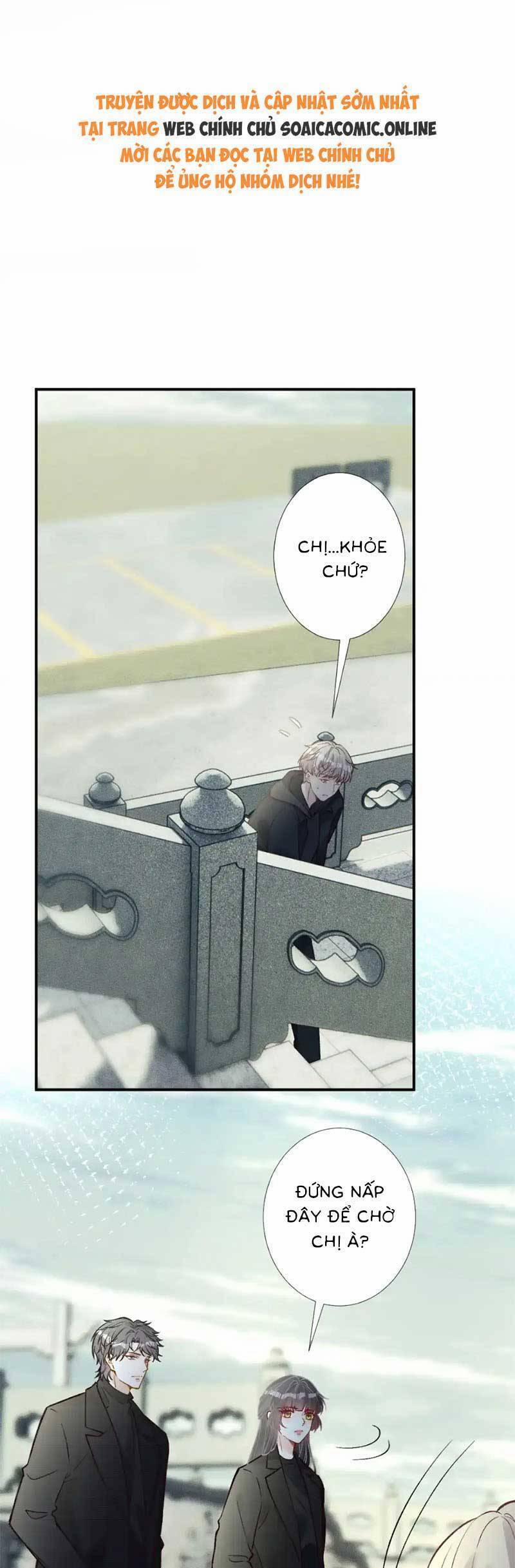 Ôm Khẩn Tiểu Mã Giáp Của Tôi 284 trang 0