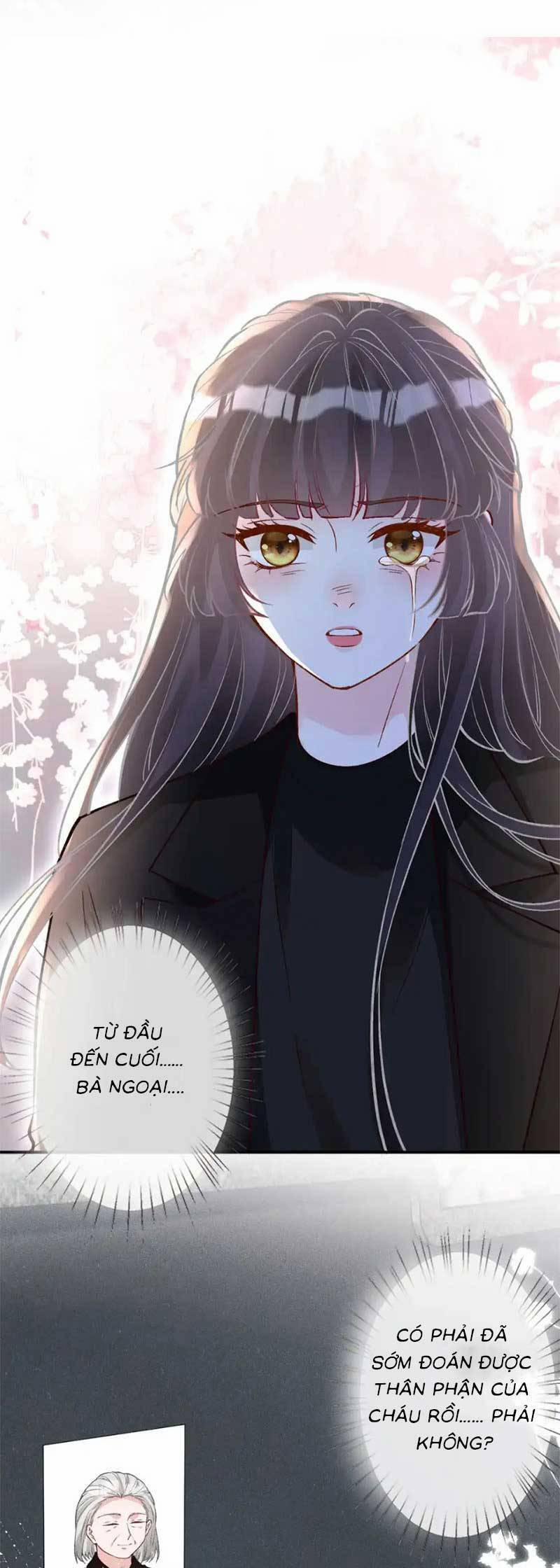 Ôm Khẩn Tiểu Mã Giáp Của Tôi 284 trang 6