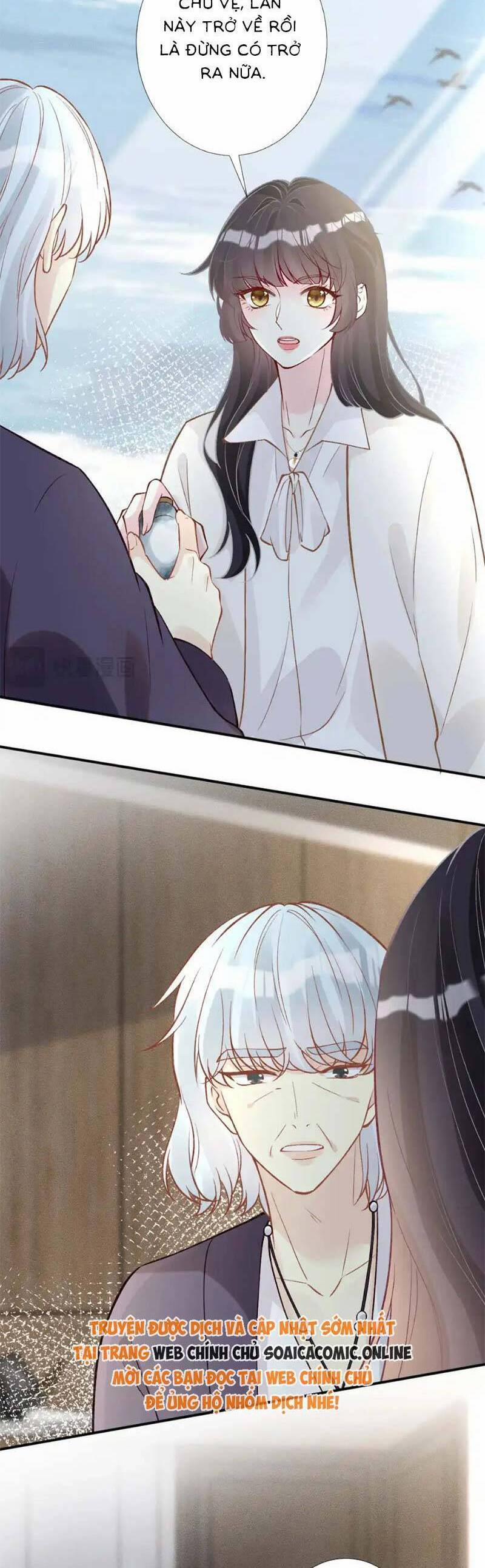 Ôm Khẩn Tiểu Mã Giáp Của Tôi 285 trang 17