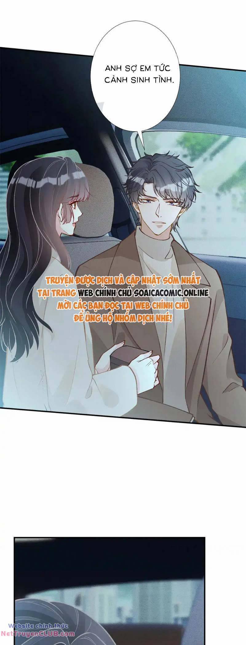 Ôm Khẩn Tiểu Mã Giáp Của Tôi 286 trang 12