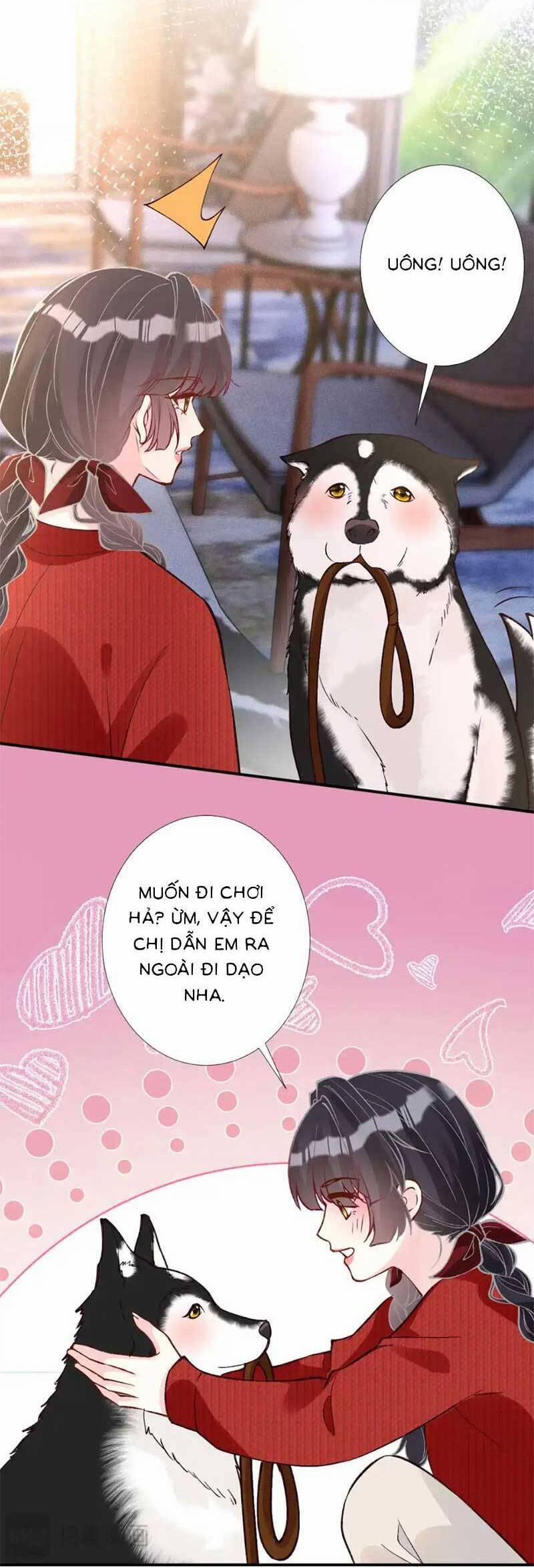 Ôm Khẩn Tiểu Mã Giáp Của Tôi 287 trang 10