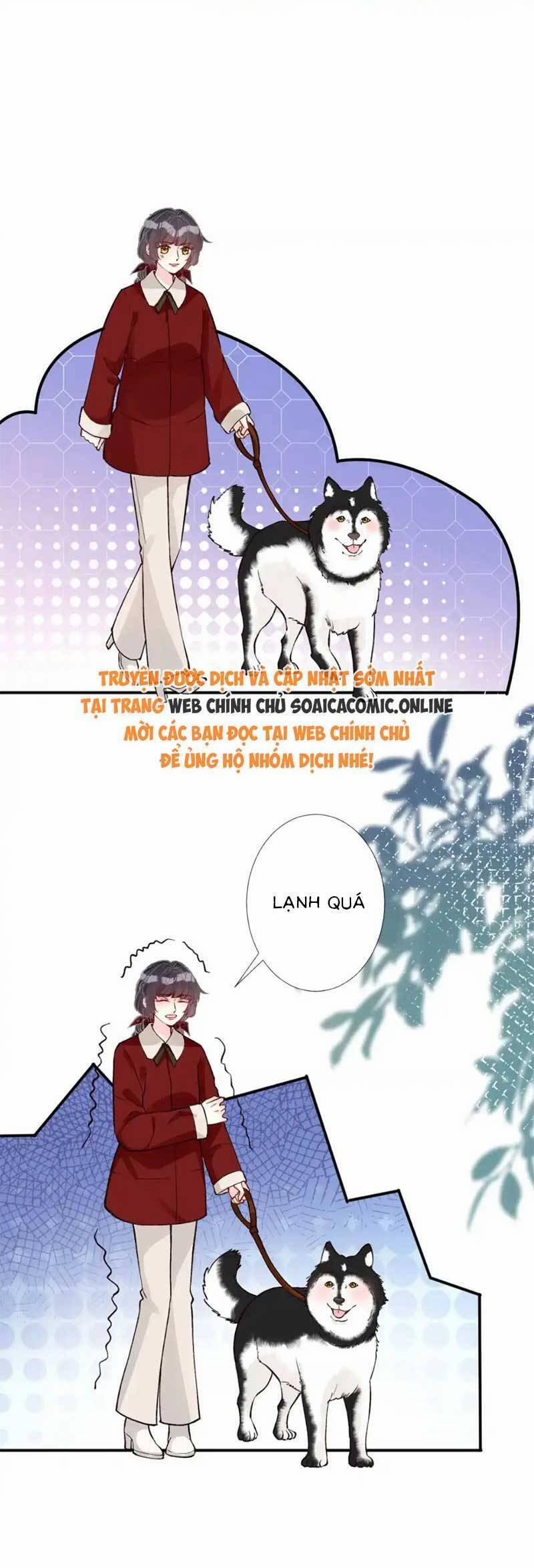 Ôm Khẩn Tiểu Mã Giáp Của Tôi 287 trang 11