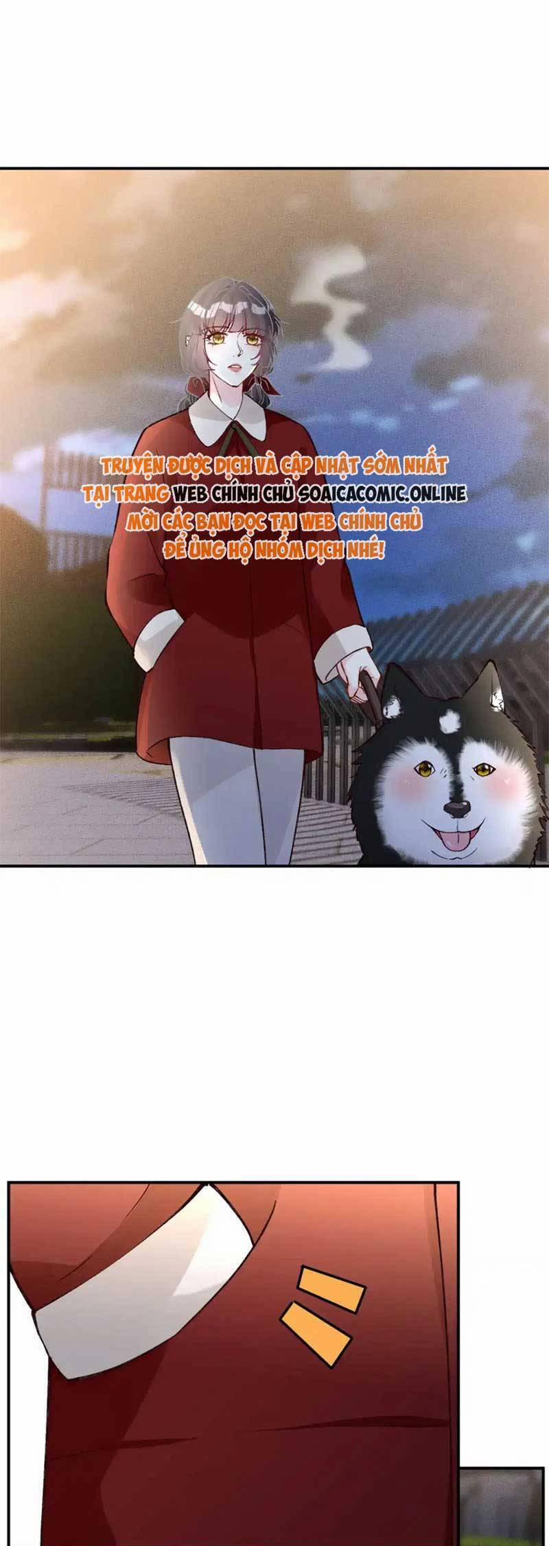 Ôm Khẩn Tiểu Mã Giáp Của Tôi 287 trang 12