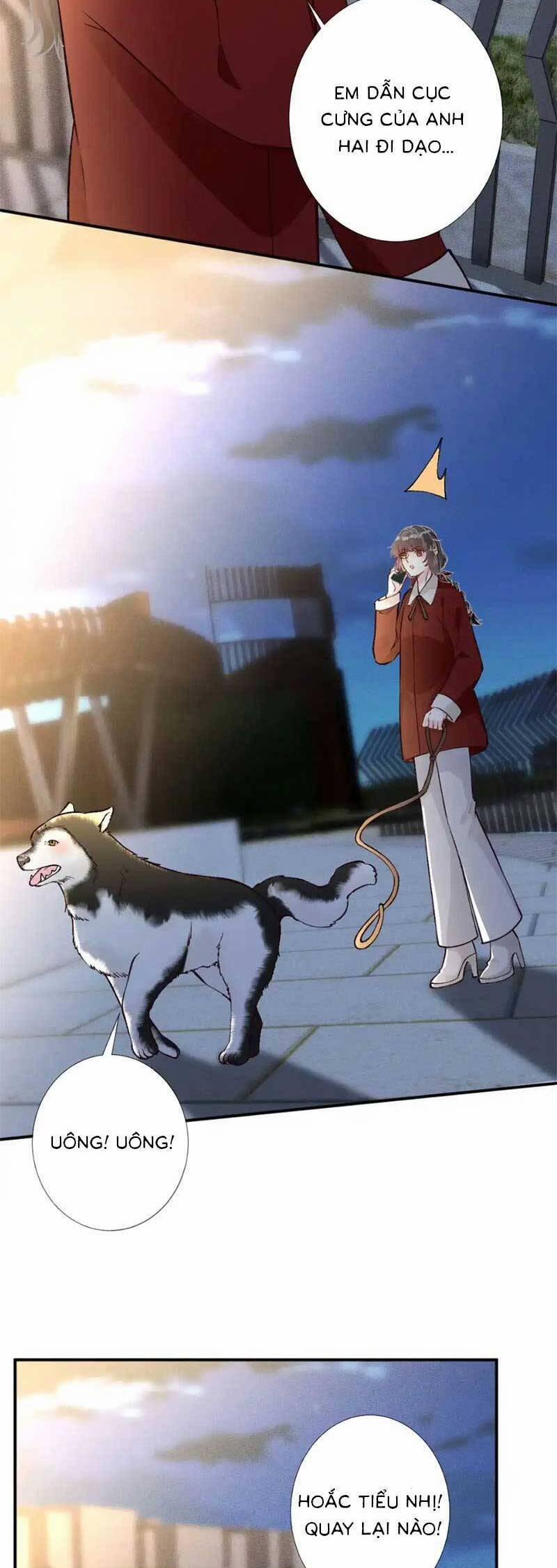 Ôm Khẩn Tiểu Mã Giáp Của Tôi 287 trang 14