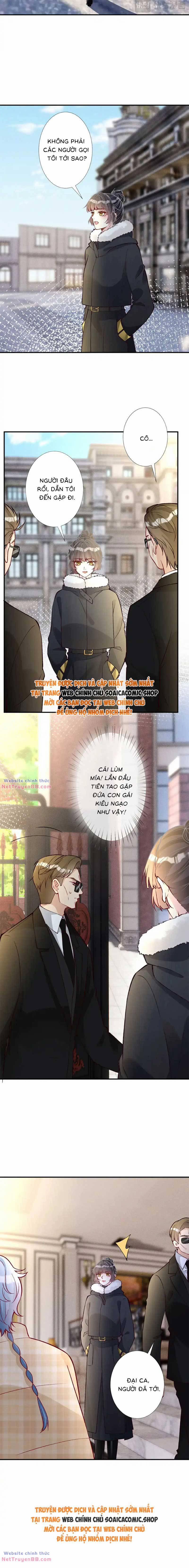 Ôm Khẩn Tiểu Mã Giáp Của Tôi 295 trang 5