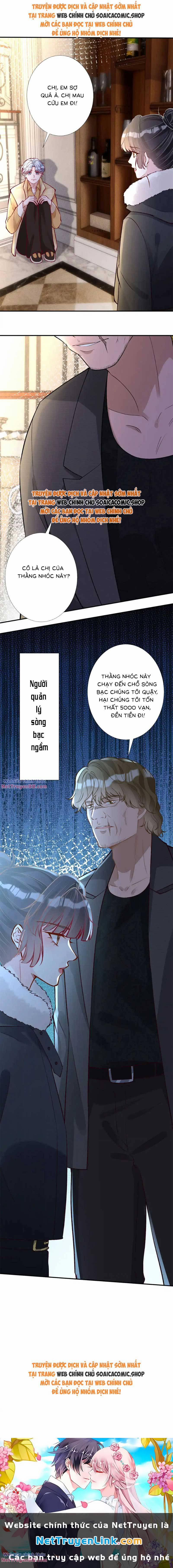 Ôm Khẩn Tiểu Mã Giáp Của Tôi 295 trang 7