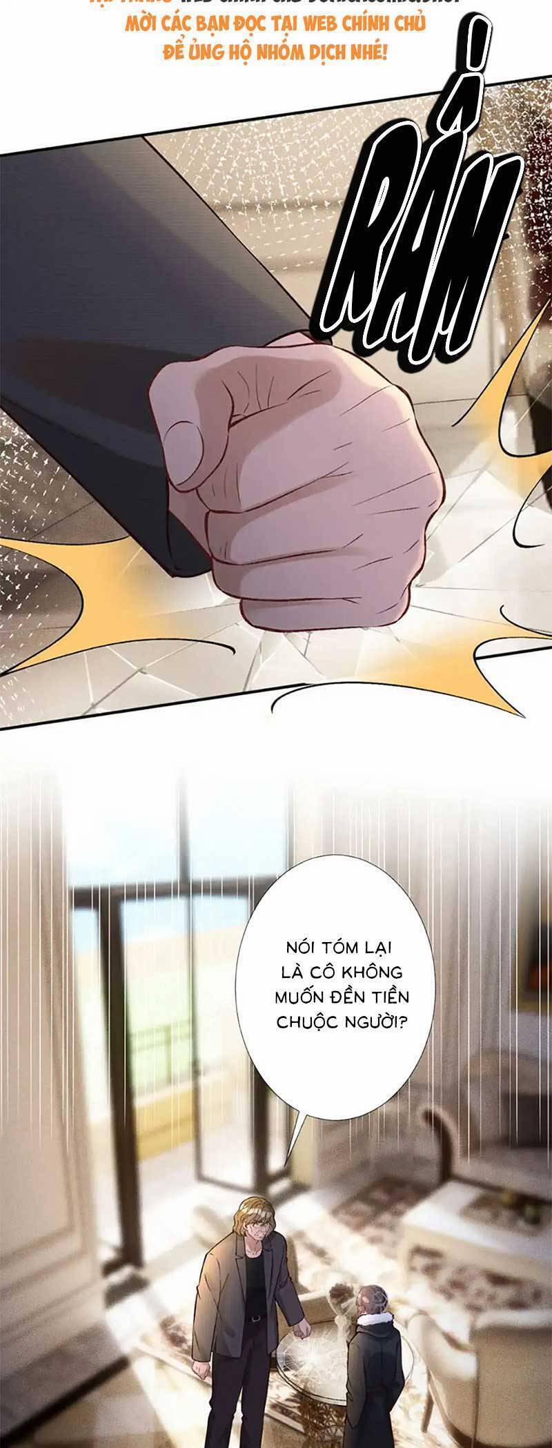 Ôm Khẩn Tiểu Mã Giáp Của Tôi 296 trang 6